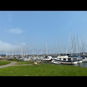 Meet your Posher, Elsie